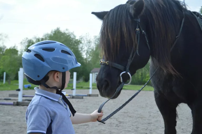 Un enfant casqué tient par les rênes un cheval noir dans une carrière